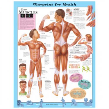 Wandplaat 'Your Muscles' 