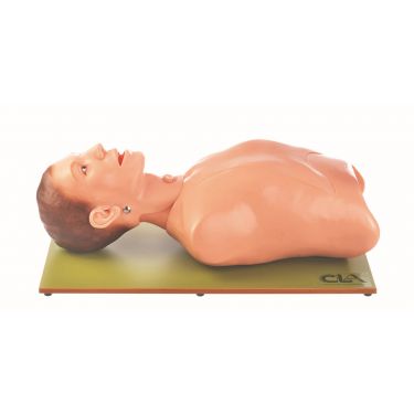CLA® maagsonde en tracheostoma model, vast op grondplaat