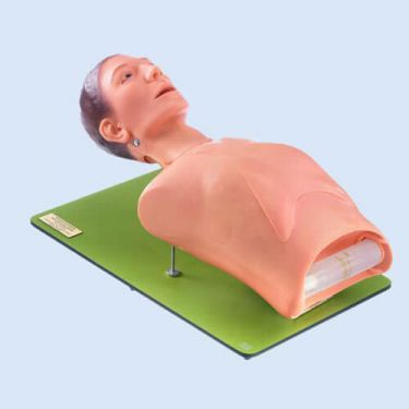 Bronchoskopie und Anästhesiologie Trainer