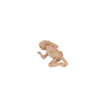 Foetus voor bevallingsmodel KK/MW65