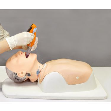 Difficult Airway Management Trainer