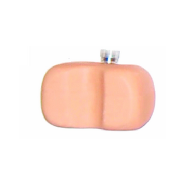 Maagreservoir voor maagsonde en tracheotomie model