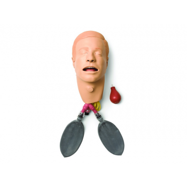 Hoofd AMH-INT met long