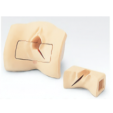 Perineal suture model – Vulva (with left and right laceration model)