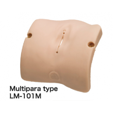 Obstetrisch Model – vulva ll (multipara type)