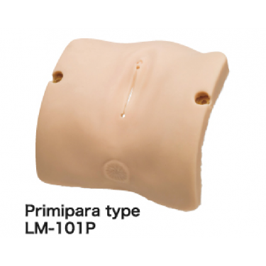 Obstetrisch Model – vulva ll (primipara type)