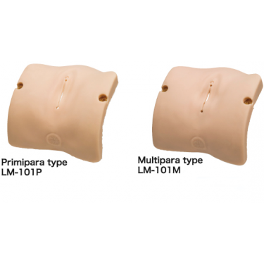 Obstetrisch Model – vulva ll set (primipara en multipara type)