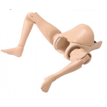 Body Obstetrisch Model
