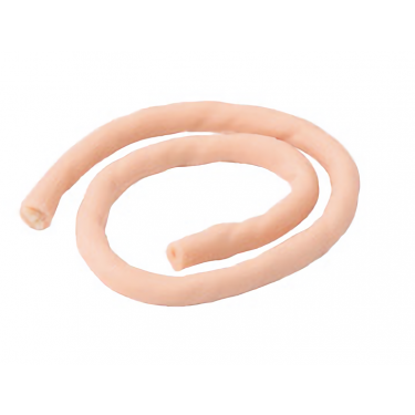 Navelstreng voor Placenta