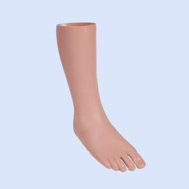Foot & Ankle Skin (LT30100)