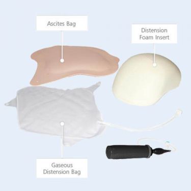 Abdominal Examination Distension Set