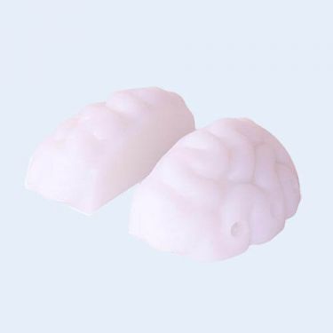 Bowel Insert voor paracentesis trainer LT60100