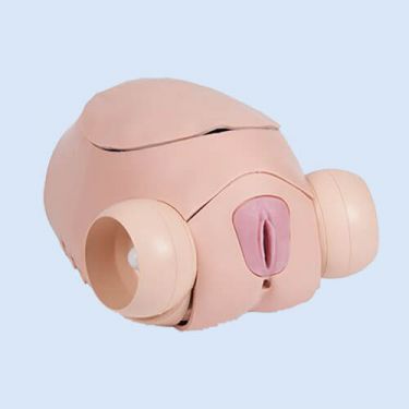 Surgical Female Pelvic Trainer Mk 2