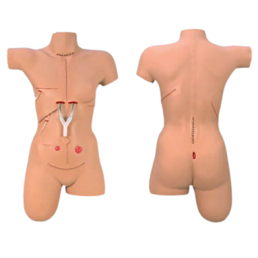 Life/form® Wondverband model Surgical Sally