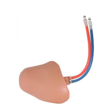 CentraLineMan Obese Replaceable Tissue