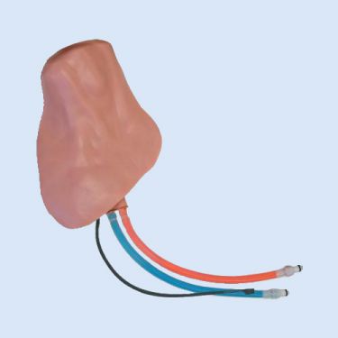 Regional Anesthesia Replaceable SmarTissue