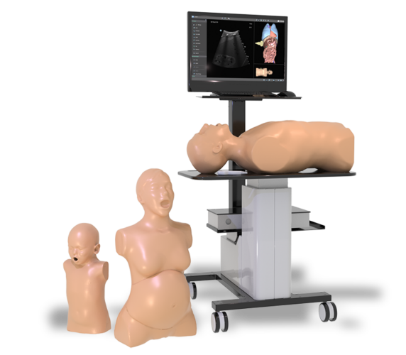 Ultrasound Simulator